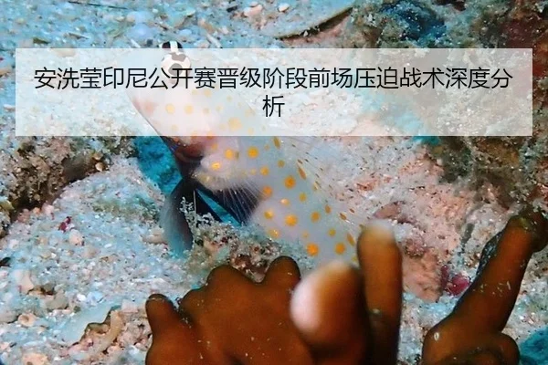 安洗莹印尼公开赛晋级阶段前场压迫战术深度分析